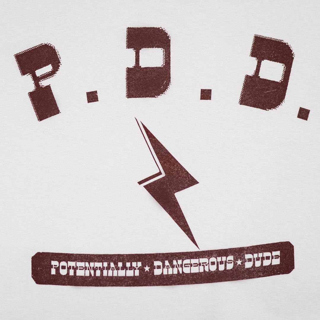 P.D.D. (Potentially Dangerous Dude)